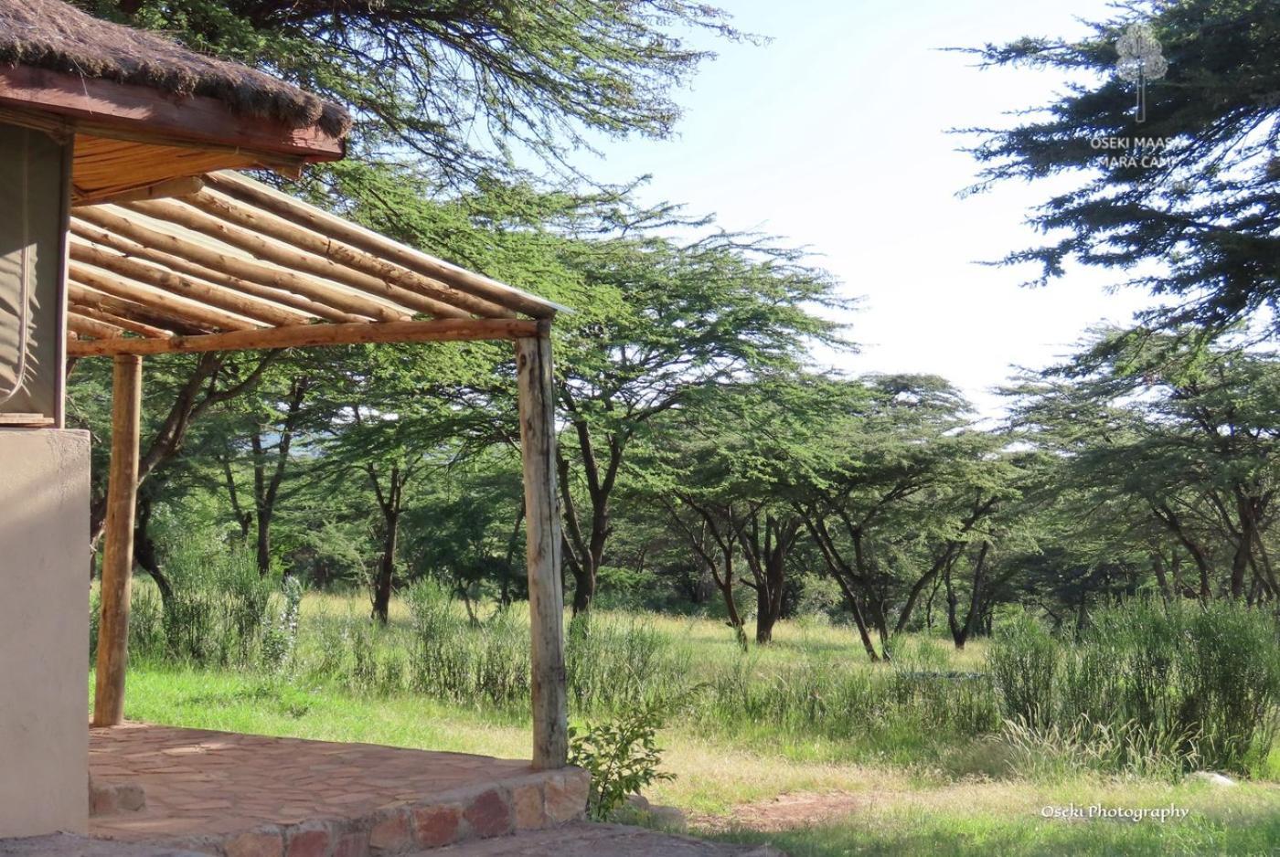 Oseki Maasai Mara Camp Hotel Narok Ngoại thất bức ảnh