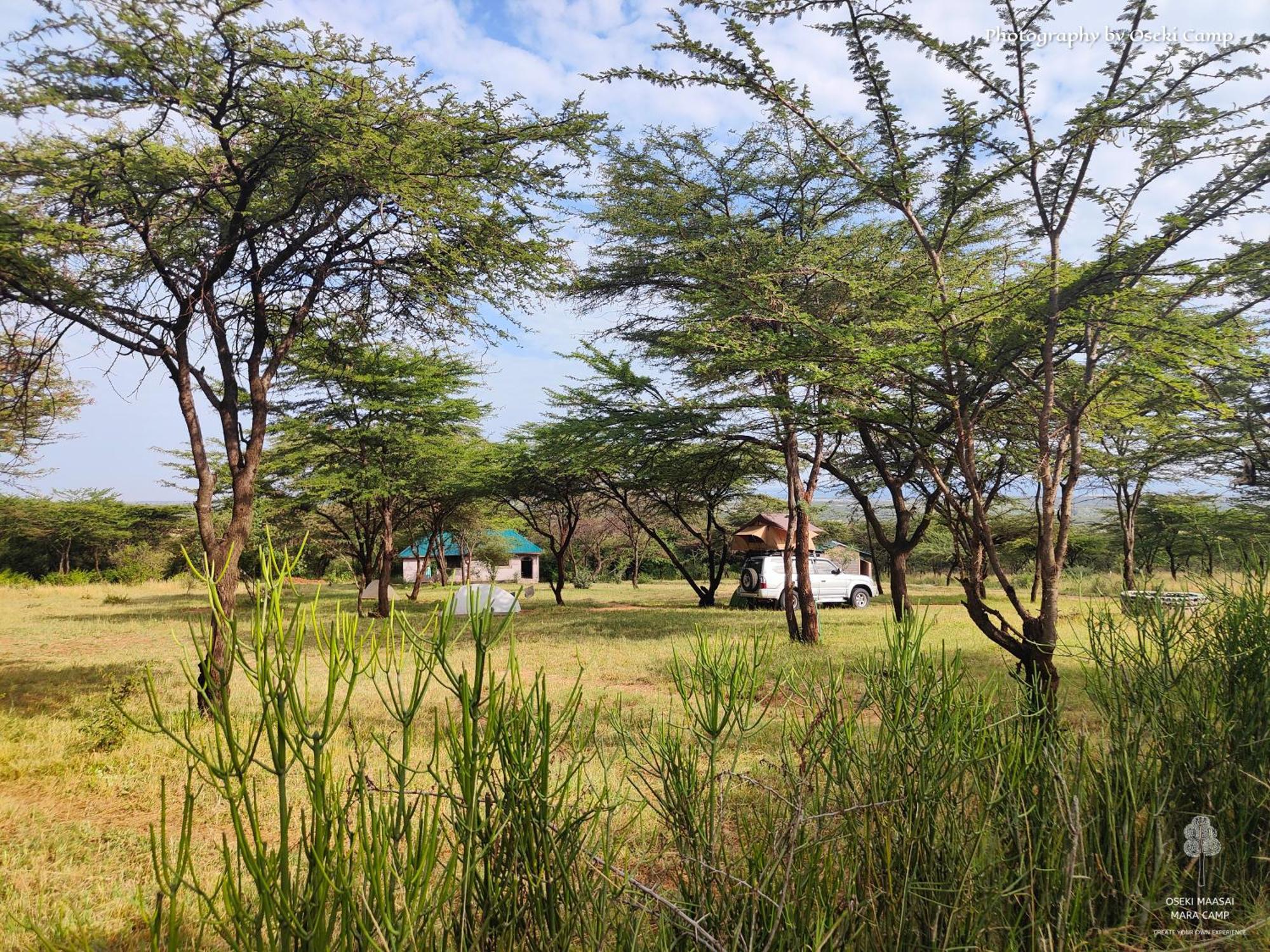 Oseki Maasai Mara Camp Hotel Narok Ngoại thất bức ảnh
