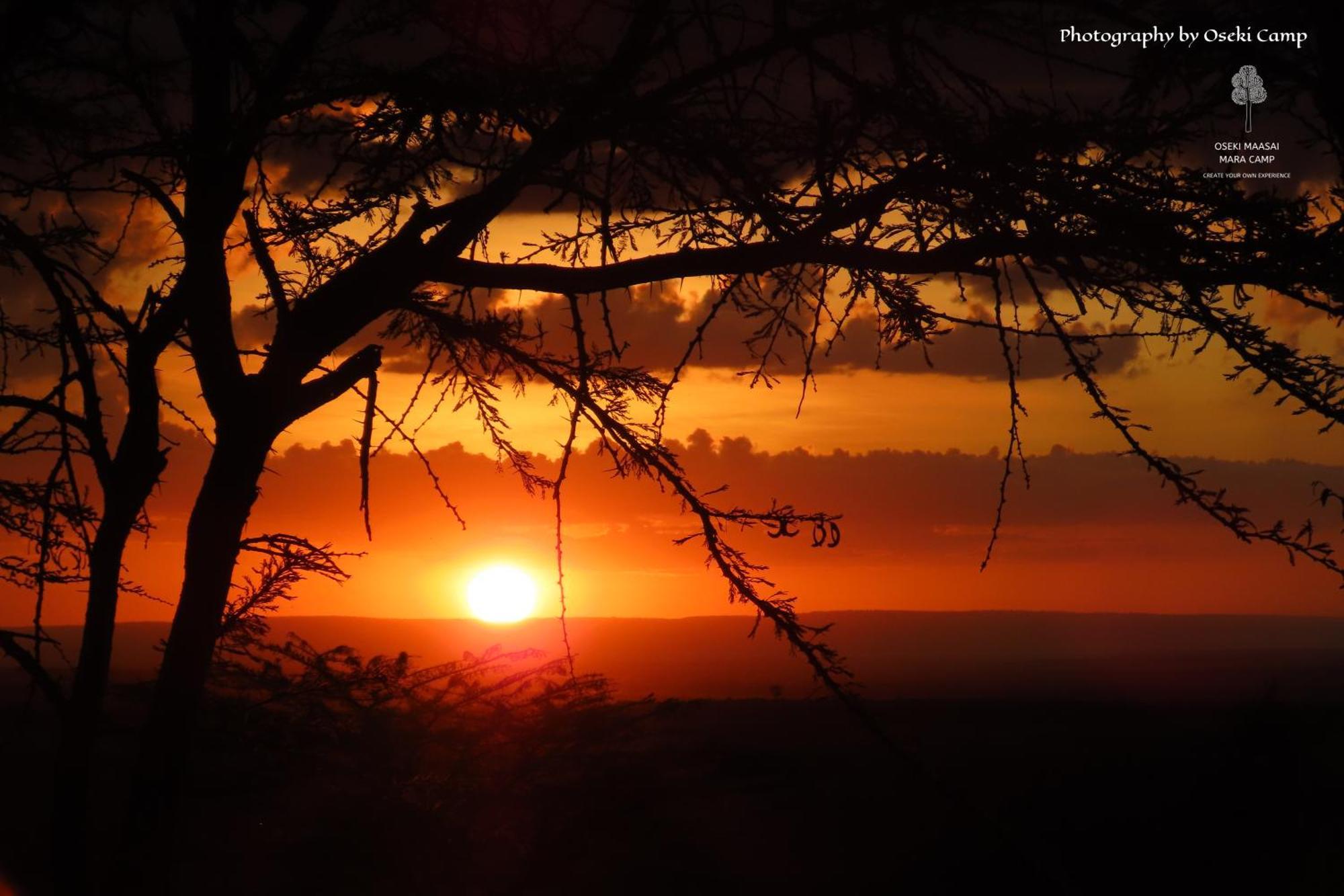 Oseki Maasai Mara Camp Hotel Narok Ngoại thất bức ảnh