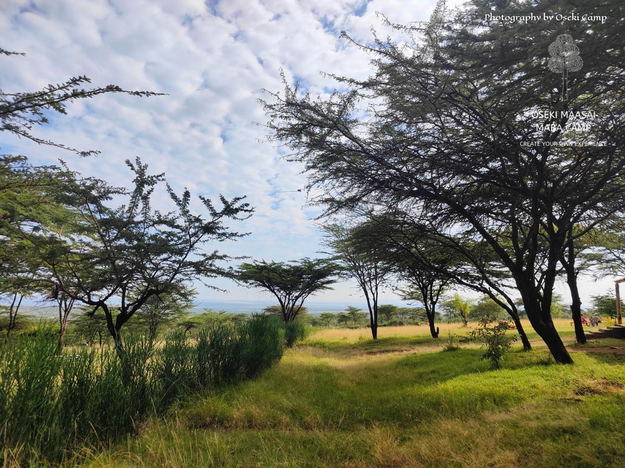 Oseki Maasai Mara Camp Hotel Narok Ngoại thất bức ảnh